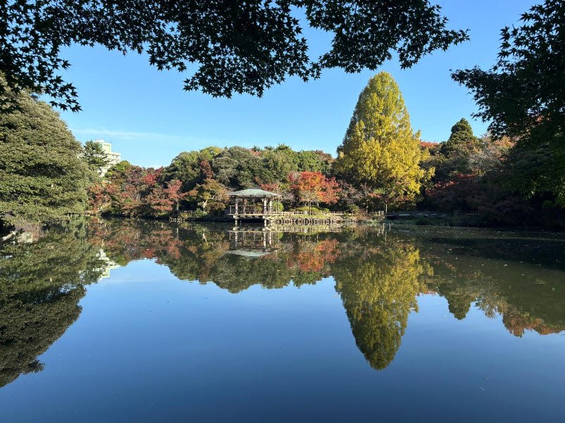 Takaoka Castle Ruins, Japan
